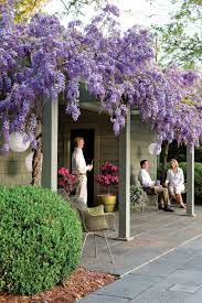 What You Need To Know And Love About Wisteria Wisteria Garden Wisteria Trellis Garden Vines