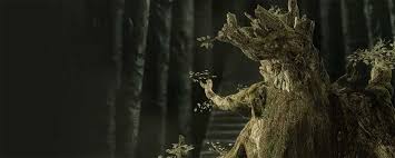 Tolkien quotes treebeard lord of the rings treebeard. Quotes By Treebeard Thyquotes