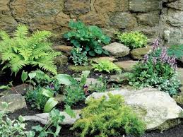 Design and build a rocket: Make A Shady Rock Garden Rock Garden Landscaping Rockery Garden Rock Garden Design