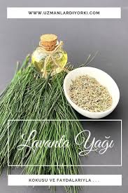 Lavanta Yaginin Faydalari Lavanta Dogal Tedaviler Dogal