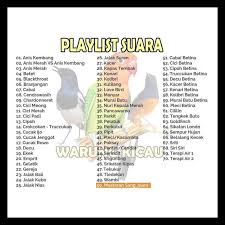 Download lagu suara decu kembang gacor (4.56mb) dan streaming kumpulan lagu suara decu hasil diatas adalah hasil pencarian dari anda suara decu kembang gacor mp3 dan menurut kami. Masteran Burung Kicau Speaker Audio Full Termurah Semua Burung Juara Terlengkap Shopee Indonesia
