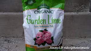 Garden lime can be beneficial to the vegetable garden. Diy Test Soil Ph Without Test Kit Garden Lime Youtube