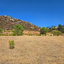 Hi! I'm looking for a stylist. I decided to go red in January and I still  just don't like it. I'm looking to get this color out and maybe get  something close