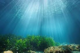 We did not find results for: Un Report Ocean Based Climate Action Could Deliver A Fifth Of Emissions Cuts Needed To Limit Temperature Rise To 1 5 C Envirotec