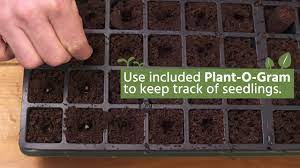 Maybe you would like to learn more about one of these? Quick Start Gardening Guide Seed Starting Full Version Youtube
