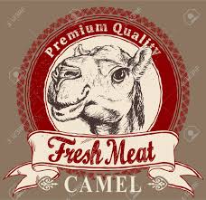 This is especially important if the camel has to carry supplies, a people, or both. Camel Meat Label With Sketch Vector Royalty Free Cliparts Vectors And Stock Illustration Image 70822823