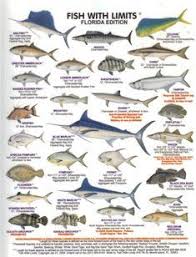 florida fish boat florida fish fish chart freshwater fish