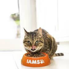 Treat Your Cat To The Latest Monster Offer From Iams Get Your Paws On 12 Wet Pouches For Free With Every 10kg Bag Of Dry Ca Dry Cat Food Cat Food