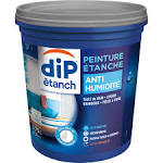 DIP Etanch Peinture Terrasse, Balcon
