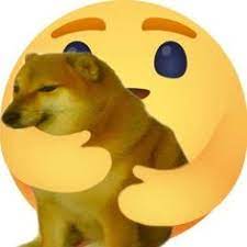 Introducing doge, the internet meme which has everybody talking like idiots. 430 Cute Stuffs And Moods Ideas Meme Faces Kpop Memes Reaction Pictures