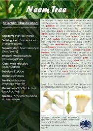 Maybe you would like to learn more about one of these? Academic Year 2020 2021 Trees At Amk Media Gallery Al Mawakeb Al Khawaneej