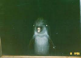 Cursed images 1080x1080 pixels : 28 Cursed Images That Are Just Plain Wrong Memebase Funny Memes