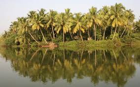 On top of our list of the beautiful places in india is yumthang valley, the bottomless vale with a remarkable variety of flowers to boast of. 50 Beautiful Places In India Yoursnews