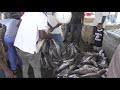 Atomy sifa (born tom mboya ang'ang'a) is an artist from kenya. Atomi Sifa Migingo Mp3