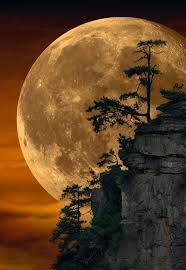 We did not find results for: Pin By Lisa Gleason On Photography Moon Photography Nature Photography Beautiful Moon