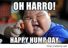 Image result for hump day