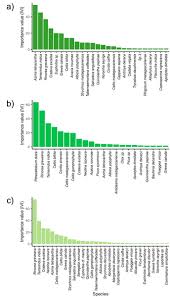 Image result for Acacia rovumae