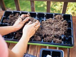 72 cell trays are the most popular choice. The Beginner S No Fail Guide To Starting Seeds Indoors Garden Betty