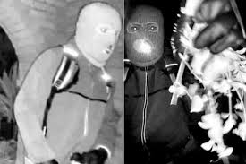 New footage of masked person at Nancy Guthrie's home