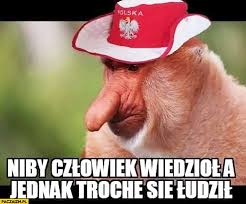 Niby człowiek wiedzioł, a jednak... ️⚽️ ⚽ 🙈 🙈 😔 😞 #nosacz #nosacze  #memy #mundial #mecz #mecze -- https://paczaizm.pl/niby-czlowiek-wiedzial -a-jednak-troche-sie-ludzil -kibic-reprezentacji-polski-typowy-polak-nosacz-malpa/