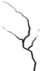 Pin On Png