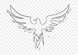 Have fun with it though, and hope. Easy Drawing Guides Beginner Phoenix Drawings Easy Hd Png Download 1024x725 6489014 Pngfind