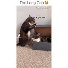 Si asta pentru ca nu mai platesc contributia la sanatate pentru primii 740 de lei din pensie. Mopvet Posts Facebook