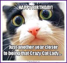 Happy Birthday Memes Cats Dogs Animals 20 Best Funny Cat Birthday Meme Funny Happy Birthday Meme Happy Birthday Meme Birthday Meme