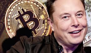 This investment in bitcoin leads bitcoin to touch another height. Bitcoin 57 000 Elon Musk And Investors Stage Speculative Attack On Fiat Expert Claims City Business Finance Moradabad News Moradabad Business