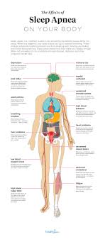 the effects of sleep apnea on the body