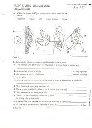 Handout Biology Worksheet Levels Of Organization Biology Kindergarten Math Worksheets Addition