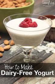 how to make dairy free yogurt