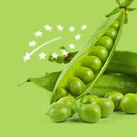 Grossiste Fruits Et Legumes Du Var Et De La Paca Dans Le Var Et Les Alpes Maritimes Midi Prim