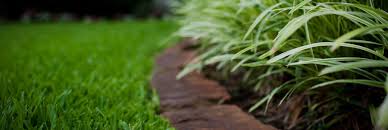 Tips and inspiration to get growing. Lawn Care Macon Ga Trey S Lawn Service Lawn Maintenance Lawn Care Lawn