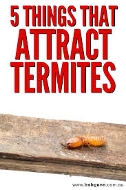 How much does it cost to get rid of. How To Know If You Have Termites Arxiusarquitectura