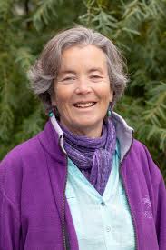 from City Clerk Donna Kinville's Front Porch Forum post): TOMORROW! Please  vote at the CWD offices