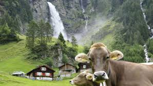 Wanderung zum griesslisee dem gletschersee am klausenpass im kanton uri oberhalb des urnerbodens. Unterschachen Inmitten Der Urner Bergwelt Uri Tourismus