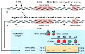 Parenting education addresses three areas of potential change for parents. Landscaping Plan Quiz Flashcards Quizlet