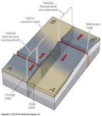 Plate Tectonics Plate Tectonics Seafloor Spreading Plate Tectonic Theory