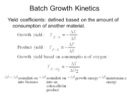 Cell Growth Kinetics Introduction Ppt Download