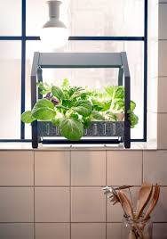 Grow Your Own Vegetables Without Soil Indoor Gardening Kit Ikea Indoor Garden Hydroponic Gardening