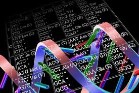 Find the latest moderna, inc. Ø¬Ø¯ÙˆÙ„ ØªØ±Ù…ÙŠØ² Mrna ÙˆØ®ØµØ§Ø¦Øµ Ø§Ù„Ù…Ø¯ÙˆÙ†Ø© Ø§Ù„Ø¬ÙŠÙ†ÙŠØ©