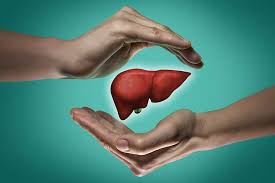 But generally, healthy people with a good diet can recover from alcoholic fatty liver disease within six weeks of alcohol abstinence. Can You Get Liver Disease If You Don T Drink Alcohol Edward Elmhurst Health
