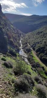 وادي عين التينه زبقين قضاء صور Travel Outdoor River