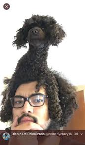 Sydney DeSimone (@sydney_des)