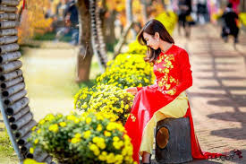 Chiêm ngưỡng hình ảnh chợ hoa ngày tết sài gòn - HOA LAN PHÚ QUÝ - Chậu Hoa  Lan Hồ Điệp Đẹp