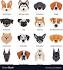 The 10 Most Expensive Purebred Dogs Ever | The Dog People ...