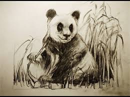 Hoe Teken Je Een Panda Dieren Tekenen 25 Dieren Tekenen Panda Tekening Dierentekening