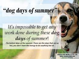 We did not find results for: Idiom Of The Week ê¸ˆì£¼ì˜ ìˆ™ì–´ Dog Days Of Summer Dog Days Idioms Dogs