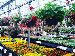 Has a few more different selections than your run of the mill giant or weis. Plant Garden Centers In Lancaster Pa Discover Lancaster